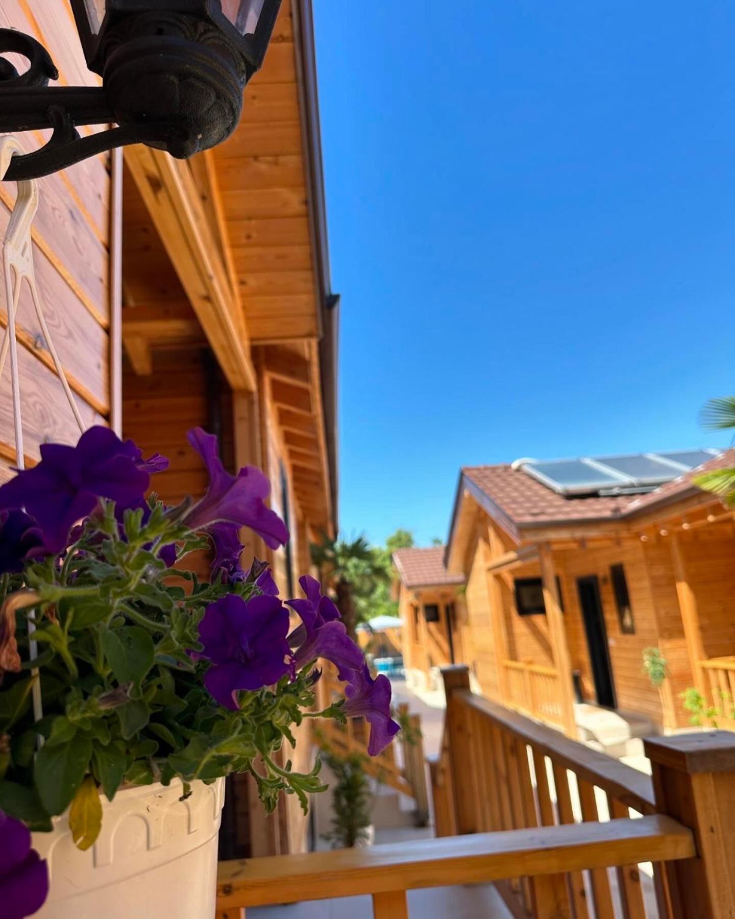 Bujtina Siar Hotel Pogradec Exterior photo