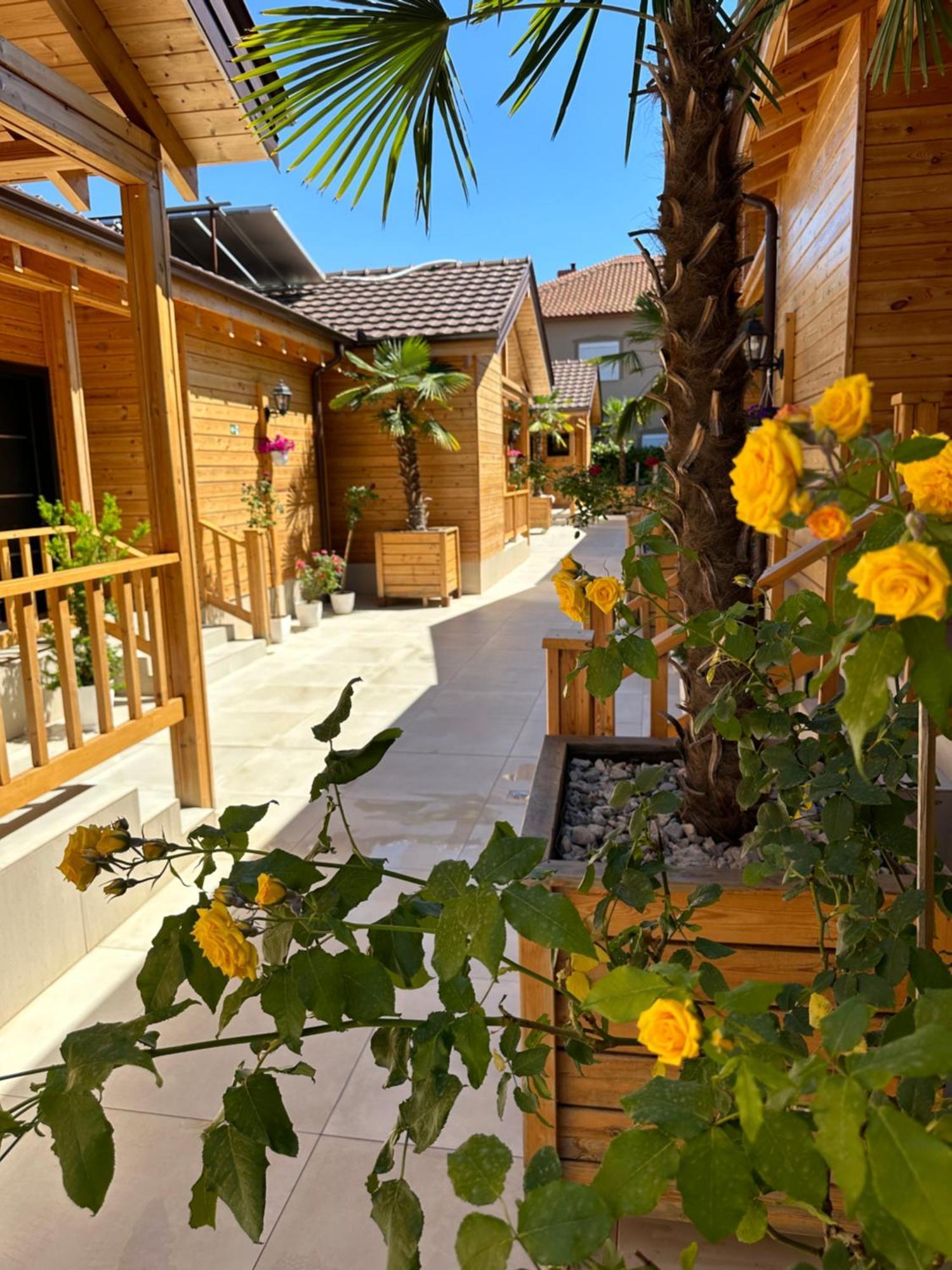 Bujtina Siar Hotel Pogradec Exterior photo